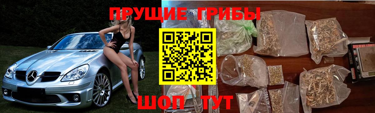 Красноярск  Псилоцибиновые грибы Psilocybe  Вход с VPN  Галлюциногенные грибы Psilocybine cubensis 